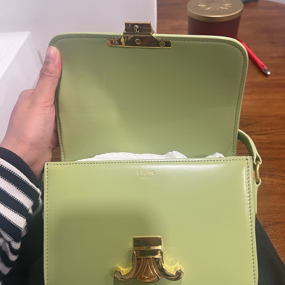 Celine Teen Triomphe Bag in Shiny Calfskin in Light Jade - Picture 8 of 11